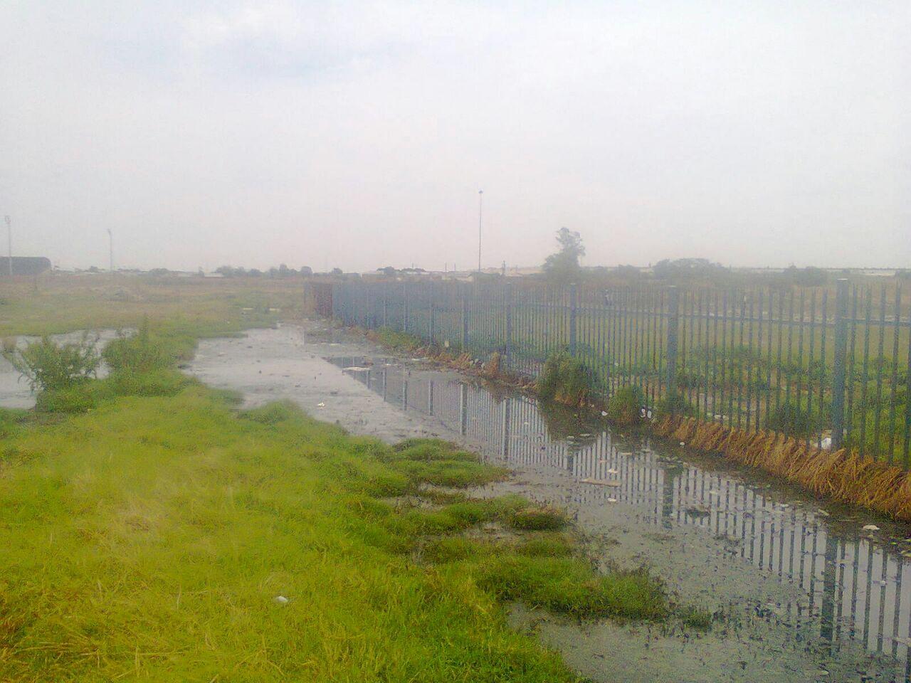 Picture of war on leaks